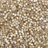 Perline Miyuki Delica 11/0 Silk satin dyed smokey quartz brown DB-680