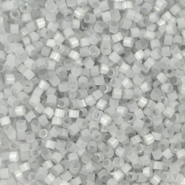 Perline Miyuki Delica 11/0 Silk satin dyed shadow gray DB-1816