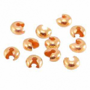 Componenti Coprischiaccino