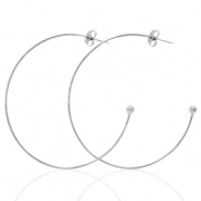 Orecchini in acciaio inossidabile a cerchio argento