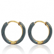 Orecchini in acciaio inossidabile a cerchio smalto 14mm blu grigio-oro