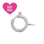 Componenti in acciaio inossidabile chiusura 6x8mm argento