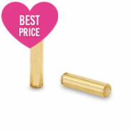 Perline di vetro rocailles bugles speciali oro