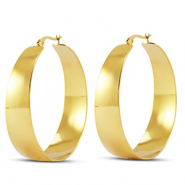 Orecchini in acciaio inossidabil a cerchio oro