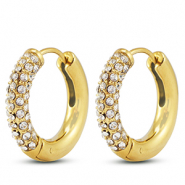 Orecchini in acciaio inossidabil a cerchio oro