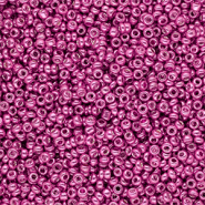 Perline di vetro rocailles 12/0 (2mm) fucsia rosa metallico luminoso