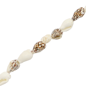 Perline di conchiglia a lumachina marrone misto-bianco