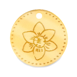 Ciondoli Plexx 20mm Fiore di nascita Dicembre-Narciso oro