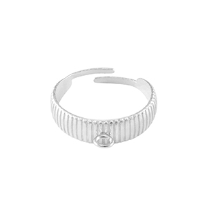 Anelli in acciaio inossidabile con anellino argento