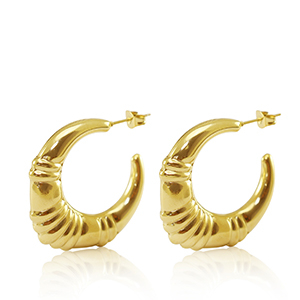 Orecchini in acciaio inossidabile a cerchio ovale oro