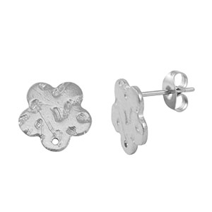 Orecchini in acciaio inossidabile argento