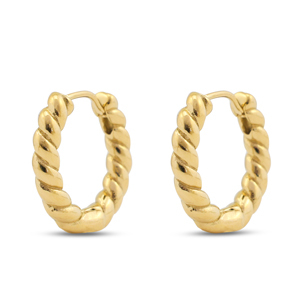 Orecchini in acciaio inossidabil a cerchio oro