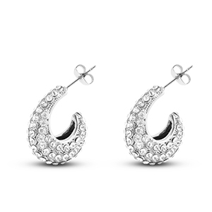 Pendientes Acero Inox argento