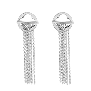 Orecchini in acciaio inossidabil argento