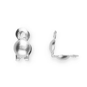 Componenti in acciaio inossidabile coprinodi 2.4mm argento