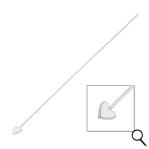 BY31&reg; Componenti in acciaio inossidabile chiodini a testa cuore 70mm argento