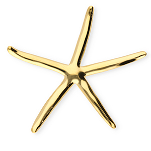 Broches accattivanti in acciaio inossidabile stella marina oro