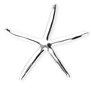 Broches accattivanti in acciaio inossidabile stella marina argento