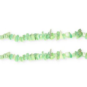 Perline di conchiglia chips verde multicolore